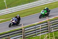 Oulton-Park-21st-March-2020;PJ-Motorsport-Photography-2020;anglesey;brands-hatch;cadwell-park;croft;donington-park;enduro-digital-images;event-digital-images;eventdigitalimages;mallory;no-limits;oulton-park;peter-wileman-photography;racing-digital-images;silverstone;snetterton;trackday-digital-images;trackday-photos;vmcc-banbury-run;welsh-2-day-enduro